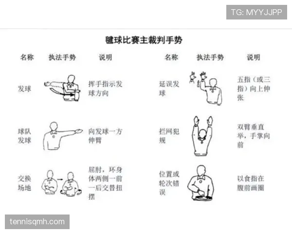 裁判手势与判罚含义解读 避免误读的关键信号与场景